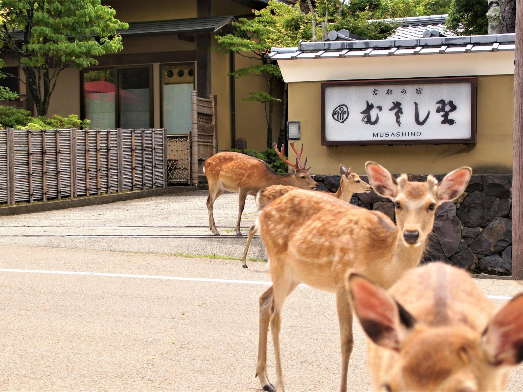 Kotonoyado Musashino Nara Exterior photo
