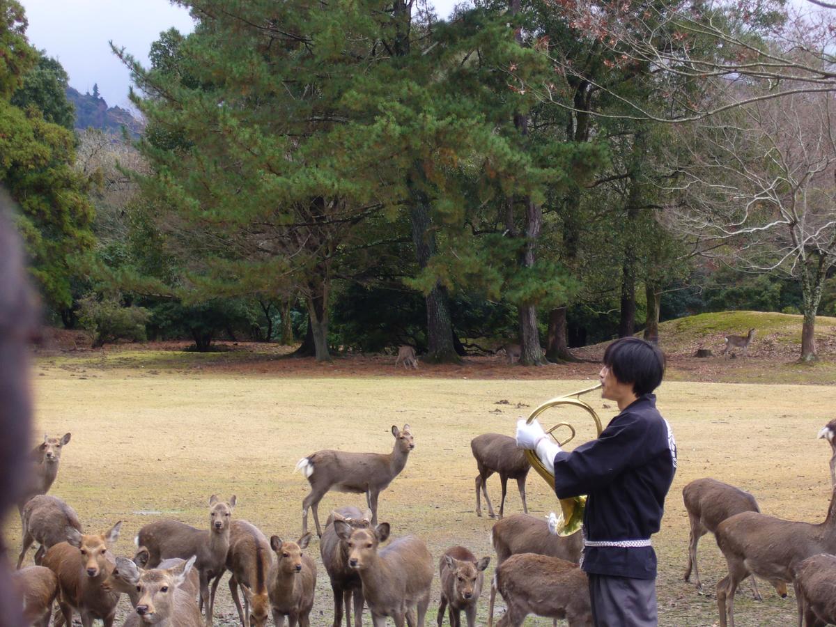 Kotonoyado Musashino Nara Exterior photo